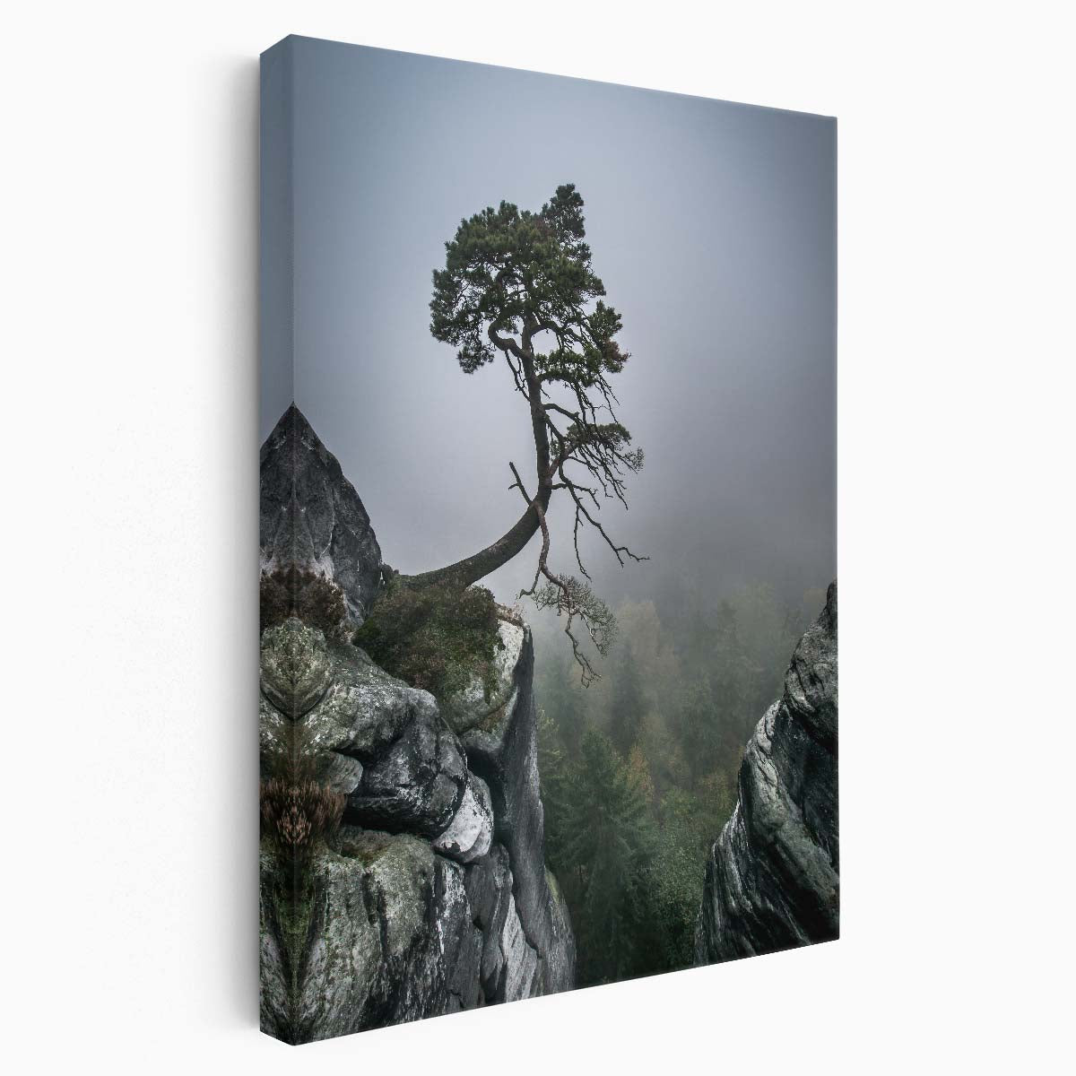 Lonely Bonsai Tree on Cliffside, Foggy Swiss-German Landscape Photography by Luxuriance Designs, made in USA