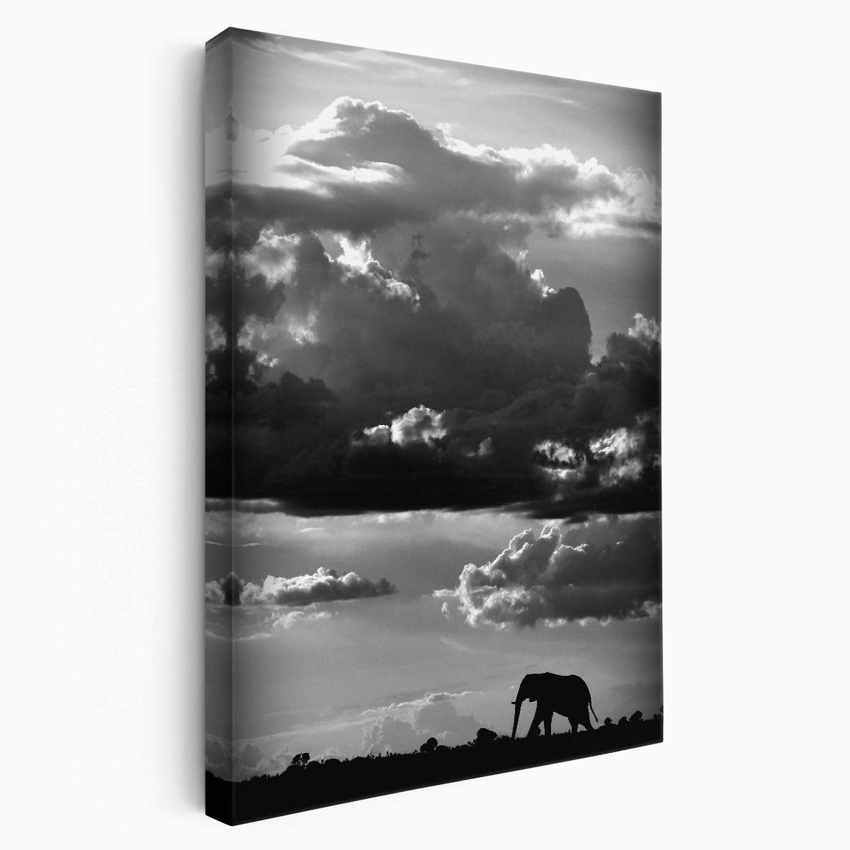 Majestic African Elephant Photography Artwork in Monochrome, Safari Wildlife Scene by Luxuriance Designs, made in USA
