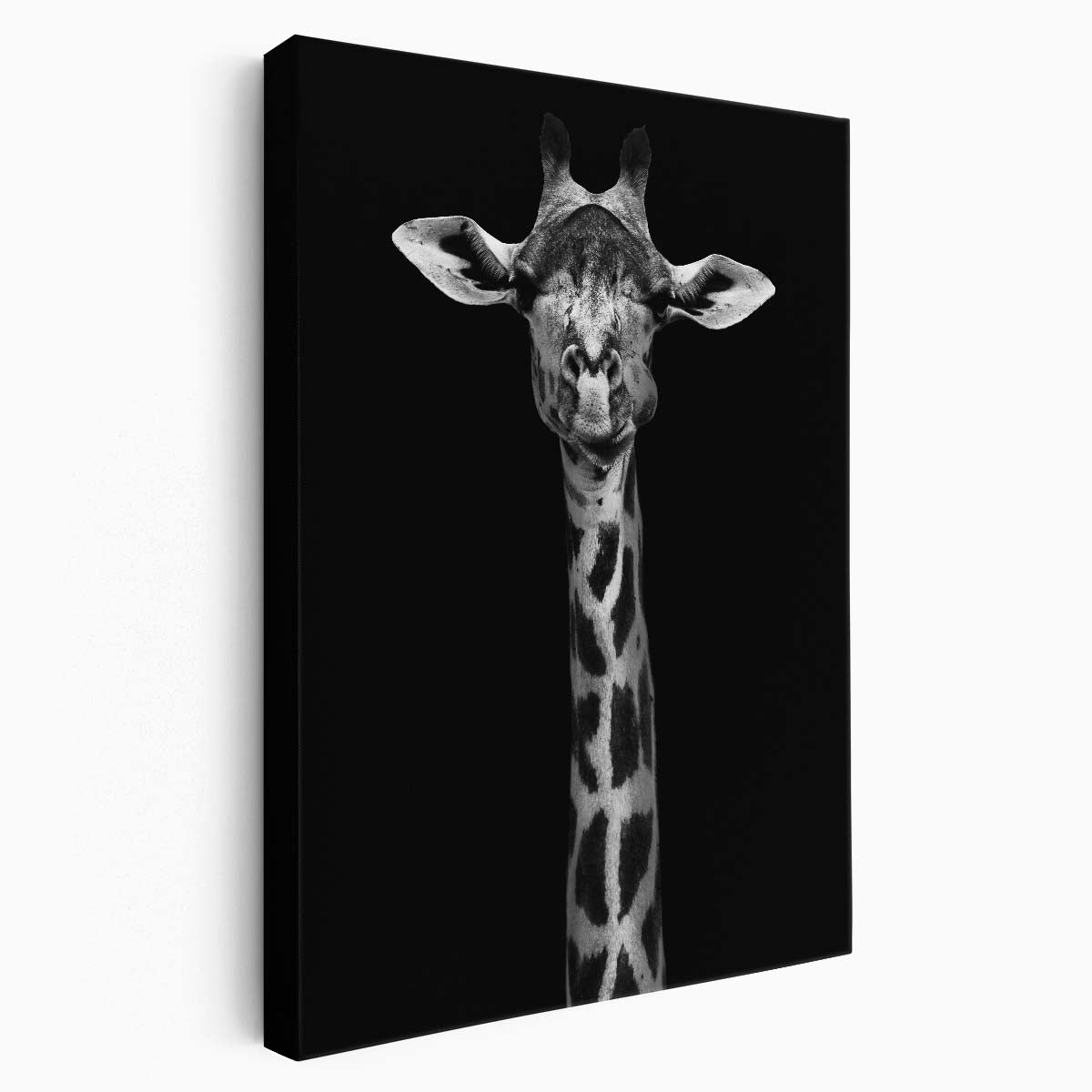 Minimalistic Black and White African Giraffe Portrait Photography by Luxuriance Designs, made in USA