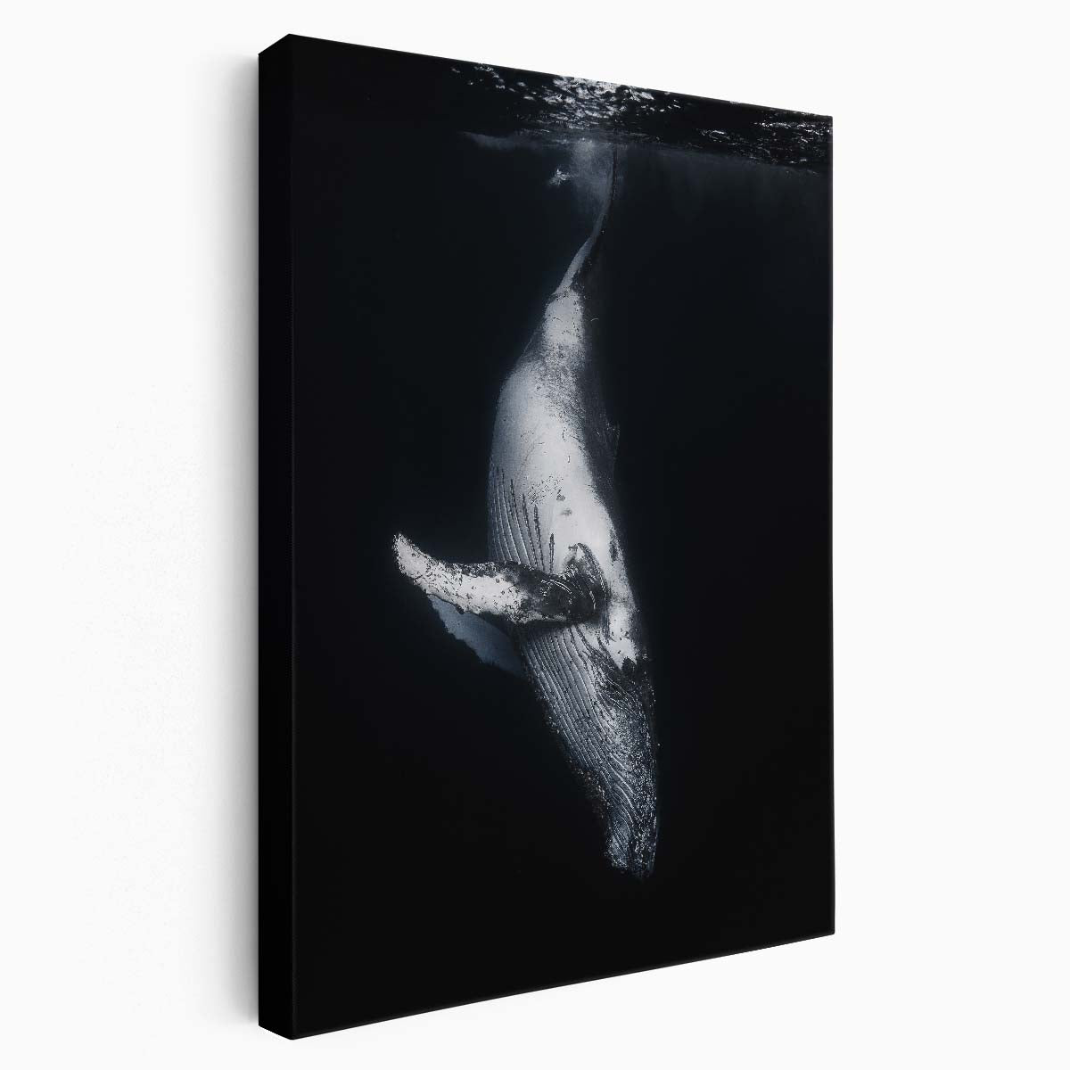 Majestic Humpback Whale Underwater Photography, Reunion Island France by Luxuriance Designs, made in USA