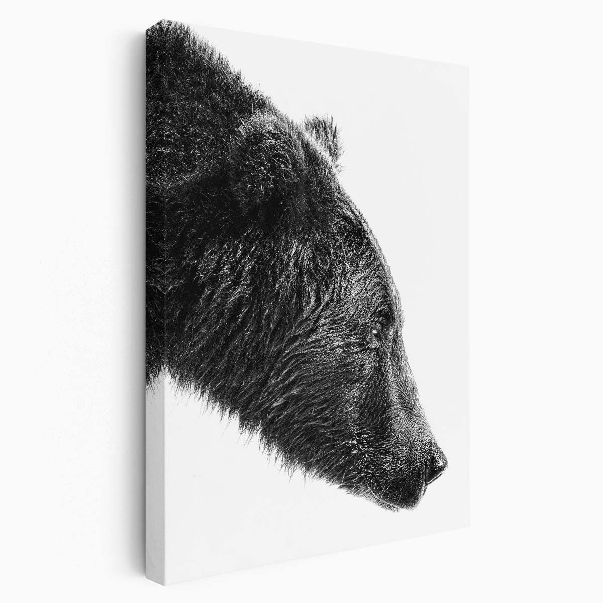 Katmai National Park Nature Bear Photography - Monochrome Portrait by Luxuriance Designs, made in USA