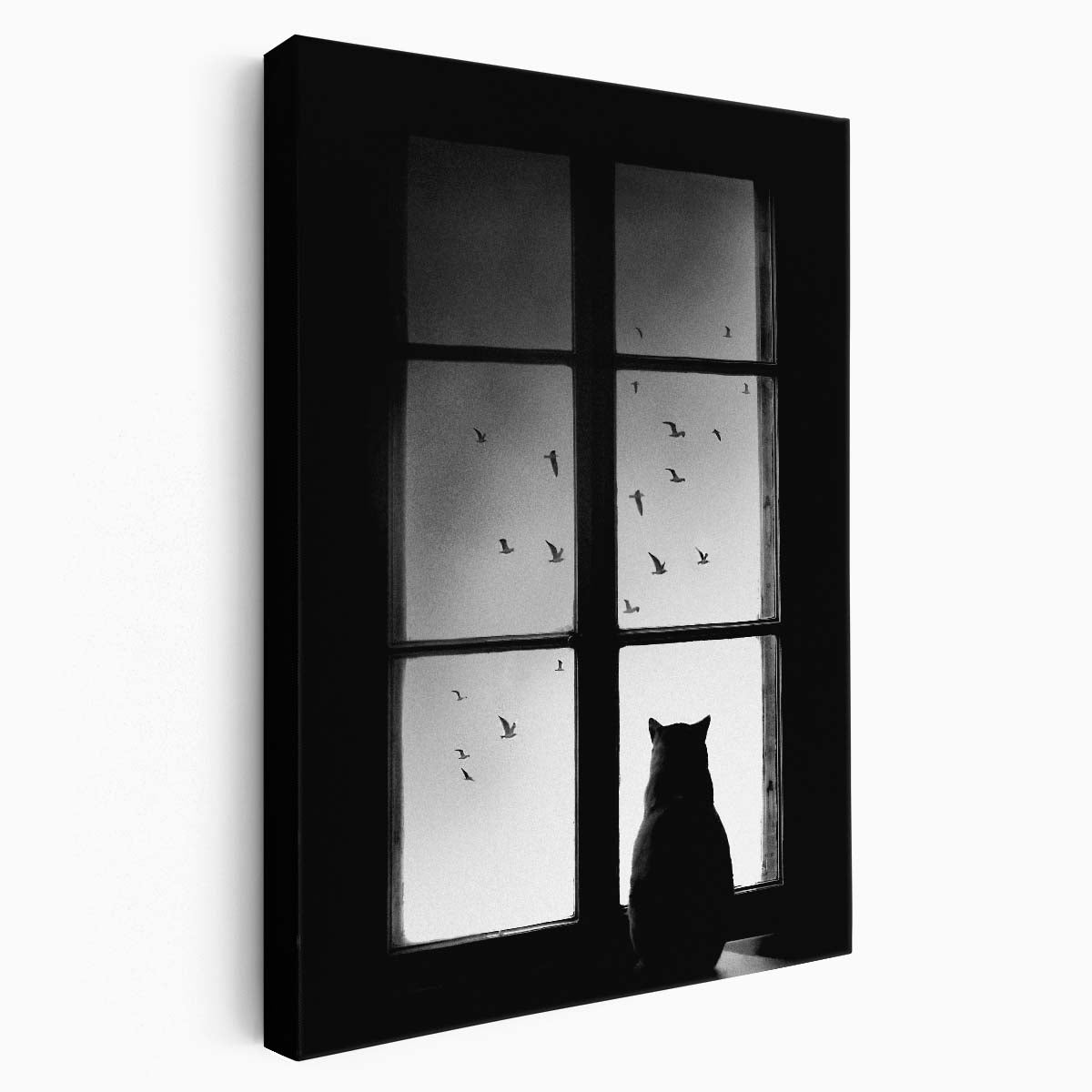 Monochrome Cat Observing Birds Migration Photography Art by Luxuriance Designs, made in USA