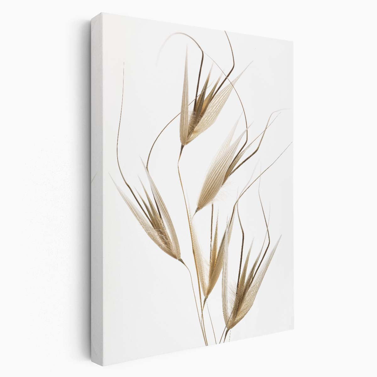 Serene Zen Wheat Photography Minimalistic, Peaceful Still Life Art by Luxuriance Designs, made in USA