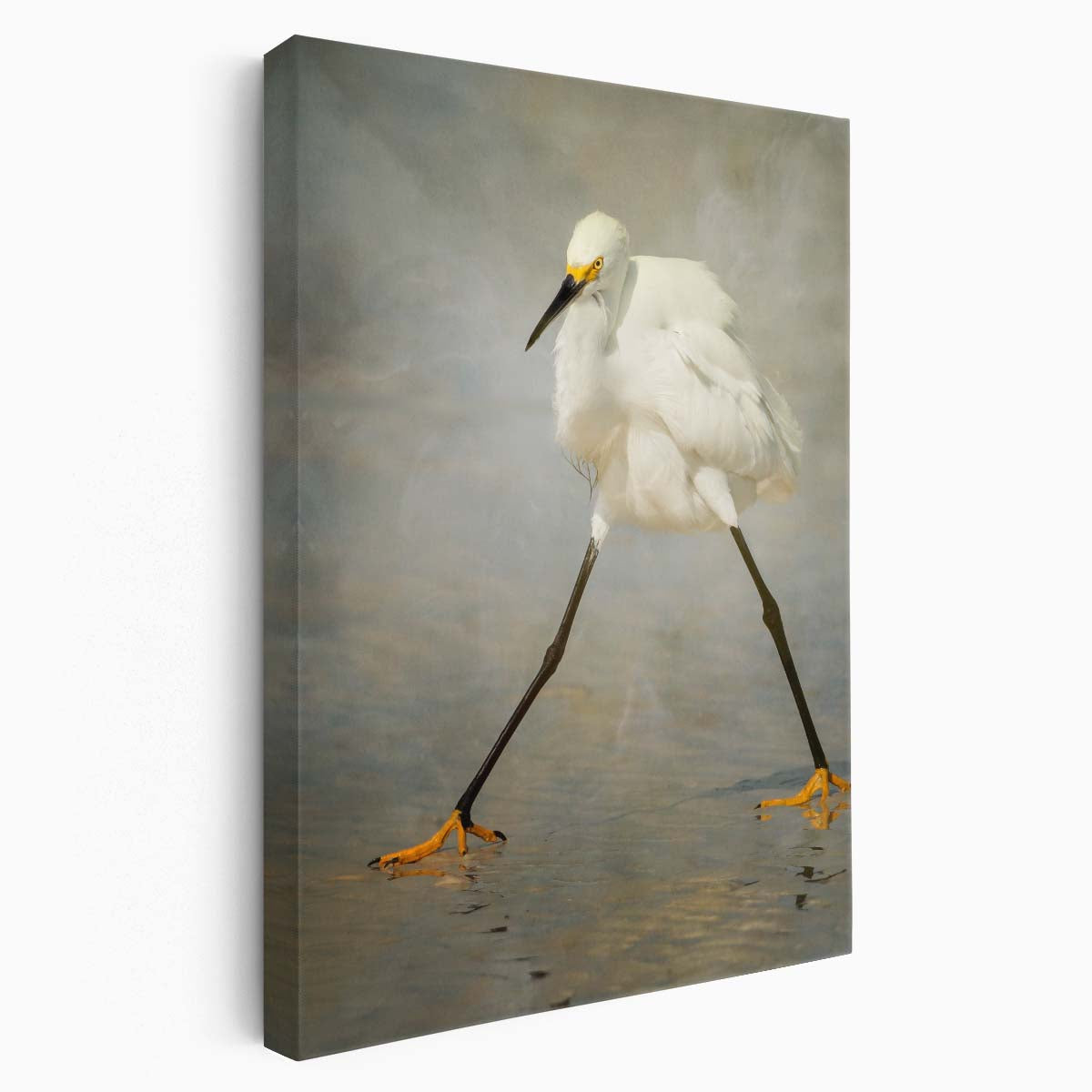 Snowy Egret Bird Photo Wall Art by Luxuriance Designs, made in USA