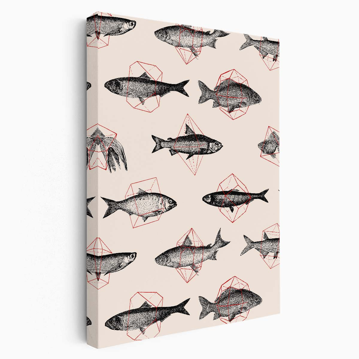 Geometric Fish Illustration, Abstract Animal Wall Art on White Background by Luxuriance Designs, made in USA