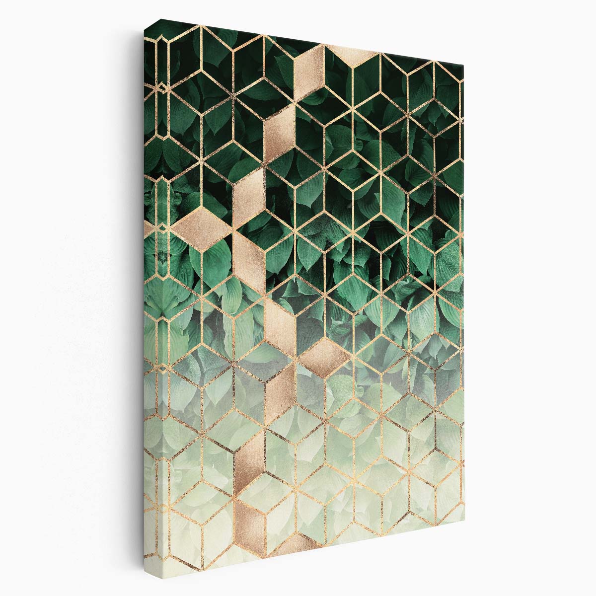 Elisabeth Fredriksson's Geometric Golden Leaf and Cube Botanical Illustration by Luxuriance Designs, made in USA