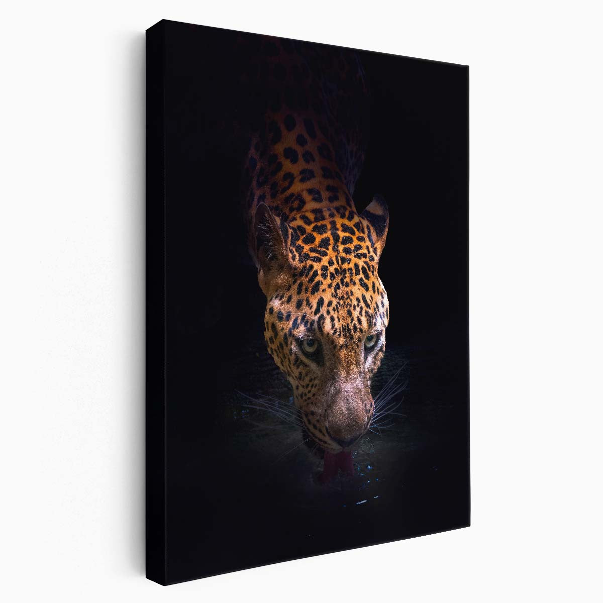 Thirsty Leopard at Waterhole - Dark, Wildlife Photography Art by Luxuriance Designs, made in USA