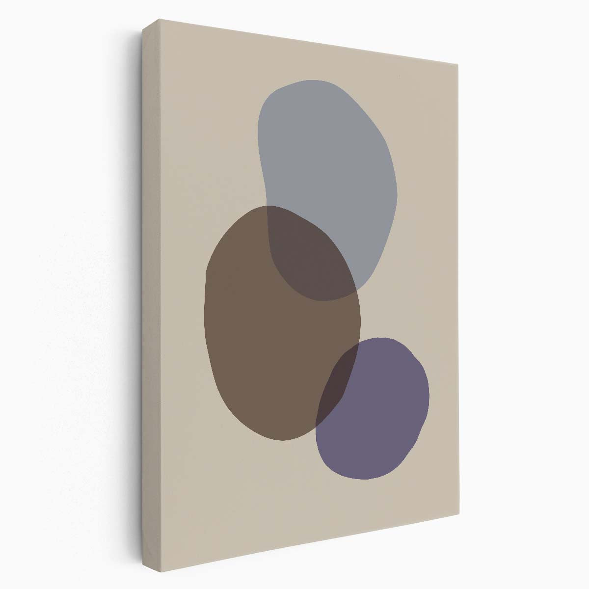 Minimalist Organic Geometry Abstract Illustration Wall Art by Luxuriance Designs, made in USA