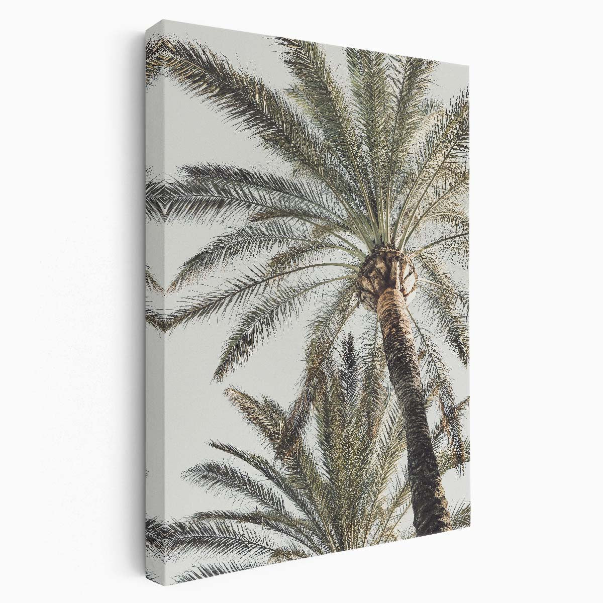 Tropical Paradise Palm Tree Leaves Landscape Photography Wall Art by Luxuriance Designs, made in USA