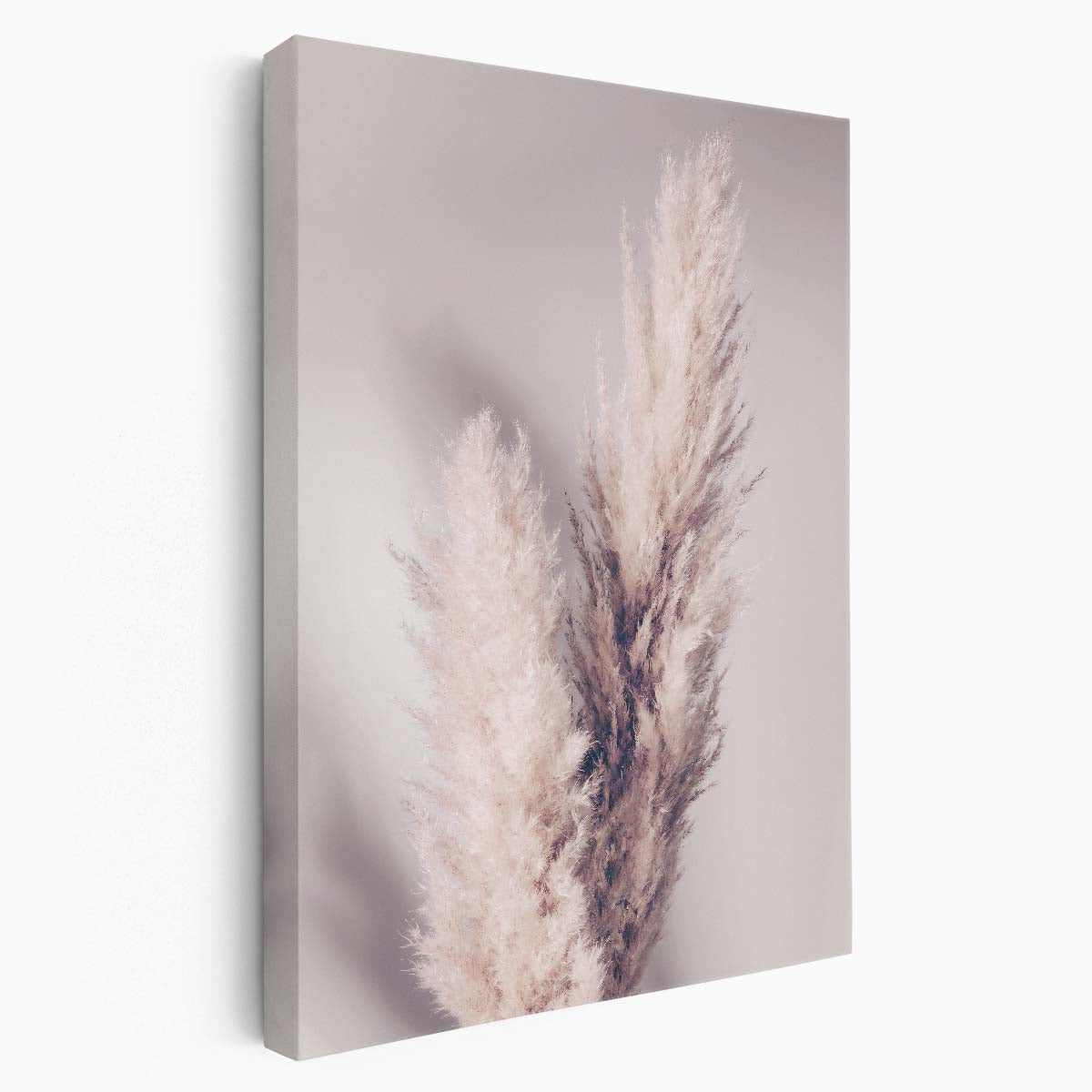 Soft Pampas Grass Beige Botanical Still Life Photography Art by Luxuriance Designs, made in USA