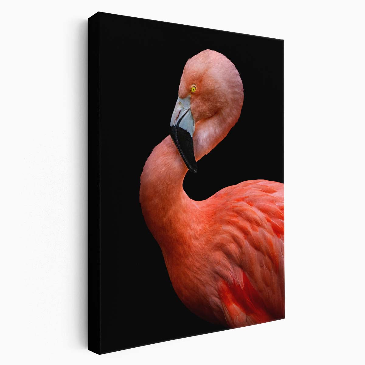 Hardik Pandya's Pink Flamingo Portrait, Colorful Feathered Animal Photography by Luxuriance Designs, made in USA