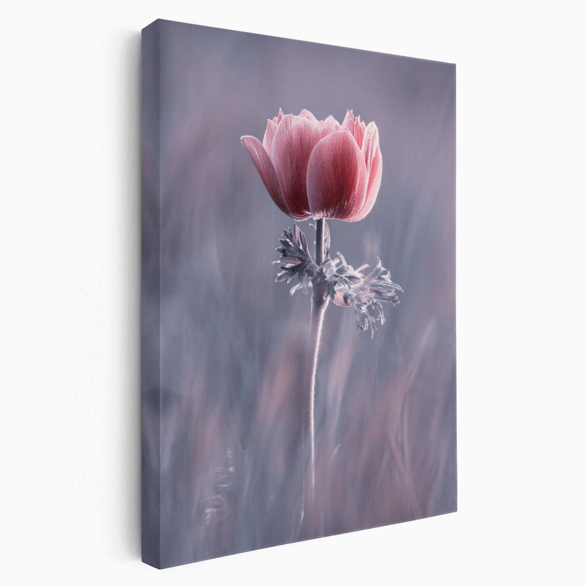 Romantic Pink Floral Macro Photography Close-Up Botanical Flower Wall Art by Luxuriance Designs, made in USA