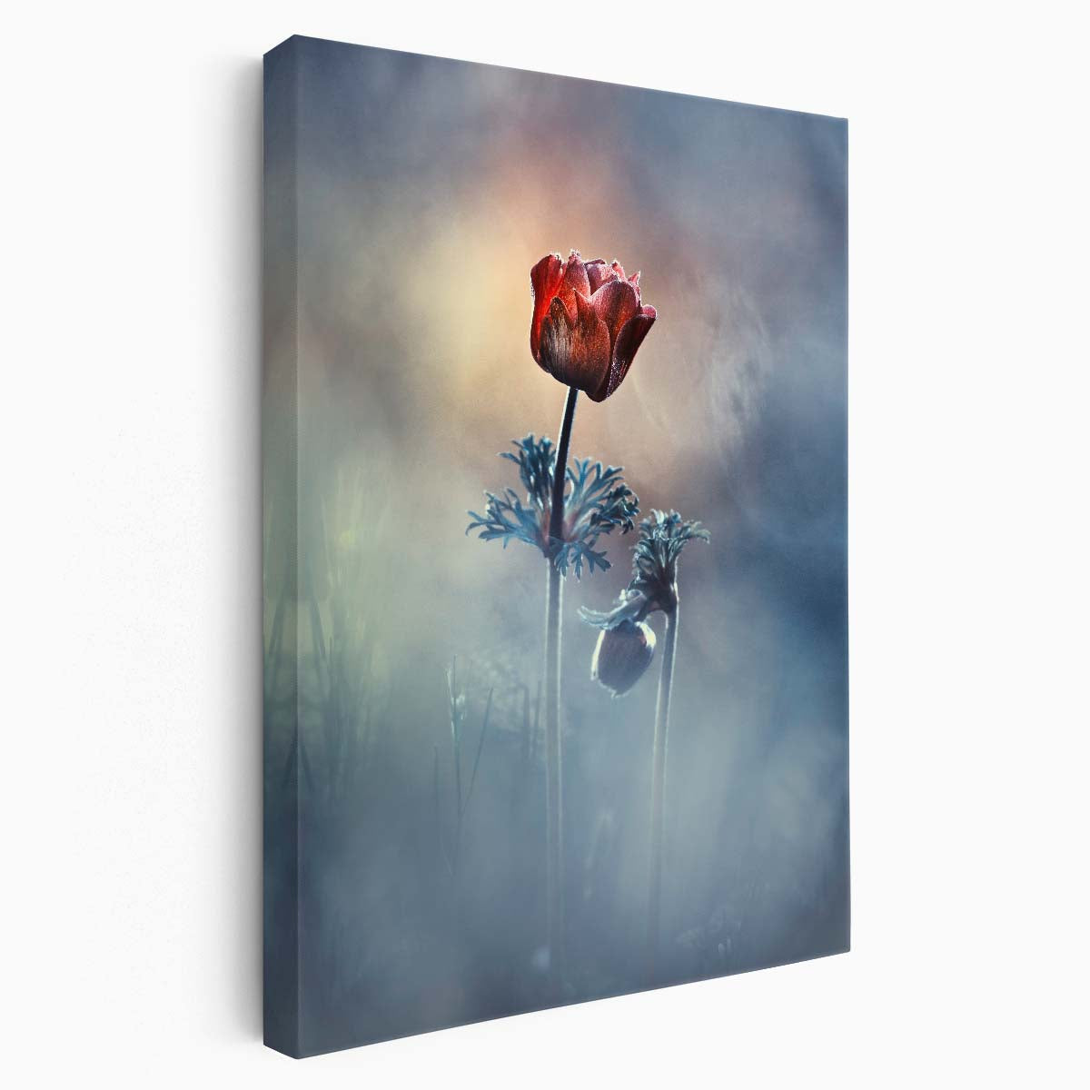 Romantic Red Rose Macro Photography Wall Art by Fabien Bravin by Luxuriance Designs, made in USA