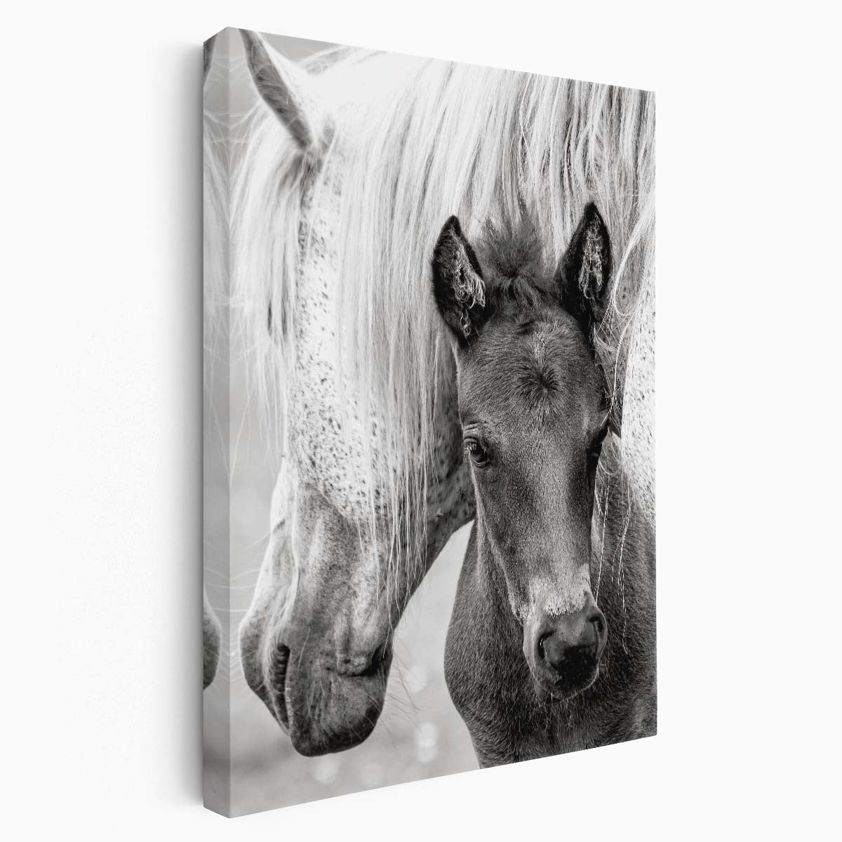 Monochrome Equestrian Love Mother Horse and Foal Photography Art by Luxuriance Designs, made in USA