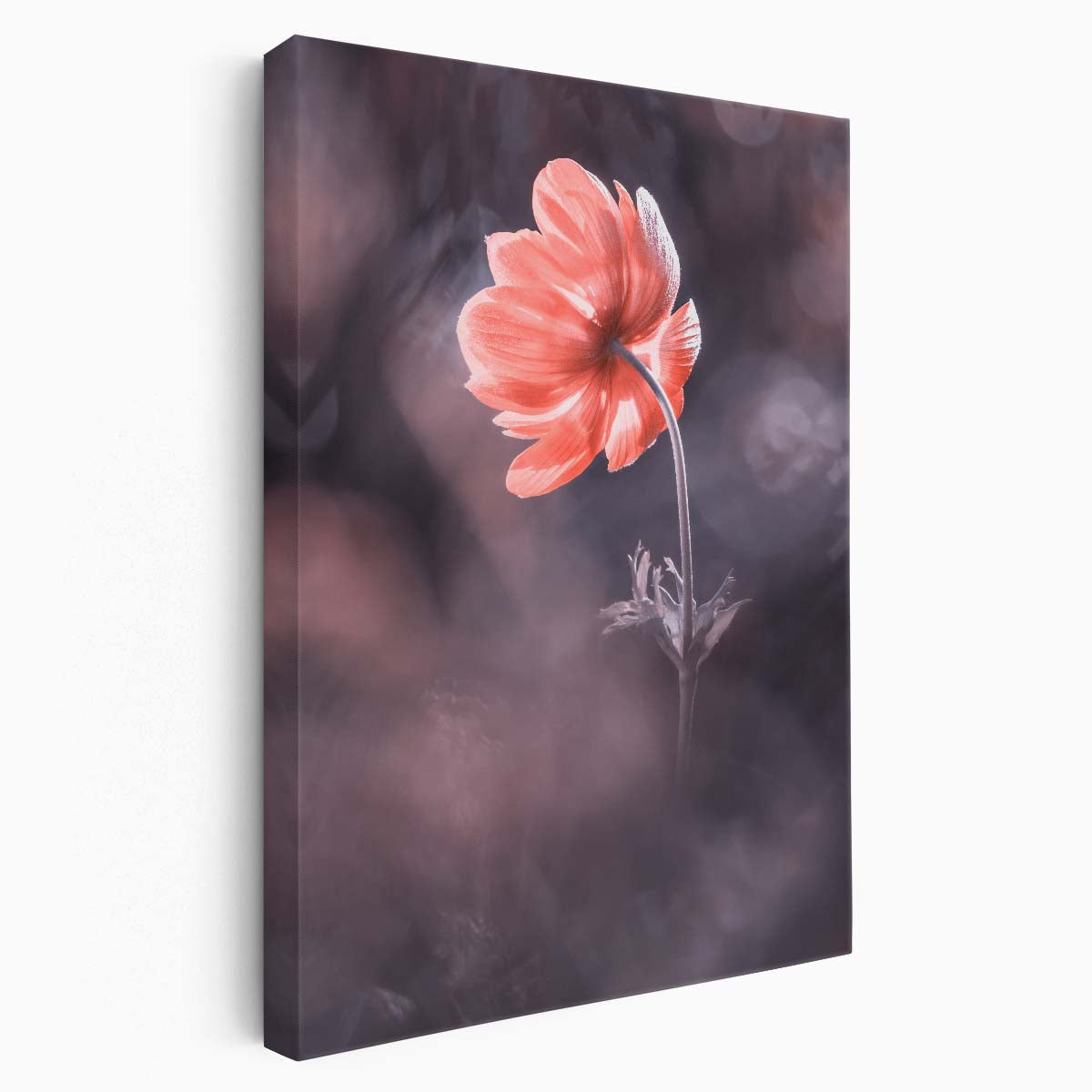 Macro Photography Blossoming Red Anemone Floral Bokeh Wall Art by Luxuriance Designs, made in USA