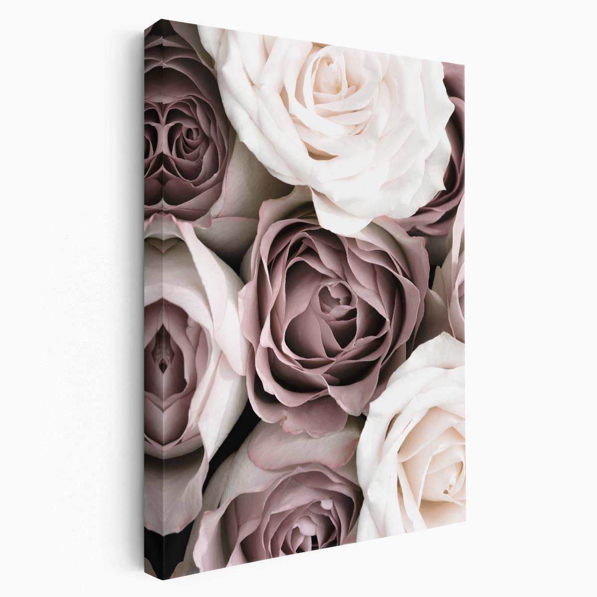 Botanical Still Life Photography Blossoming Pink Rose Flowers by Luxuriance Designs, made in USA