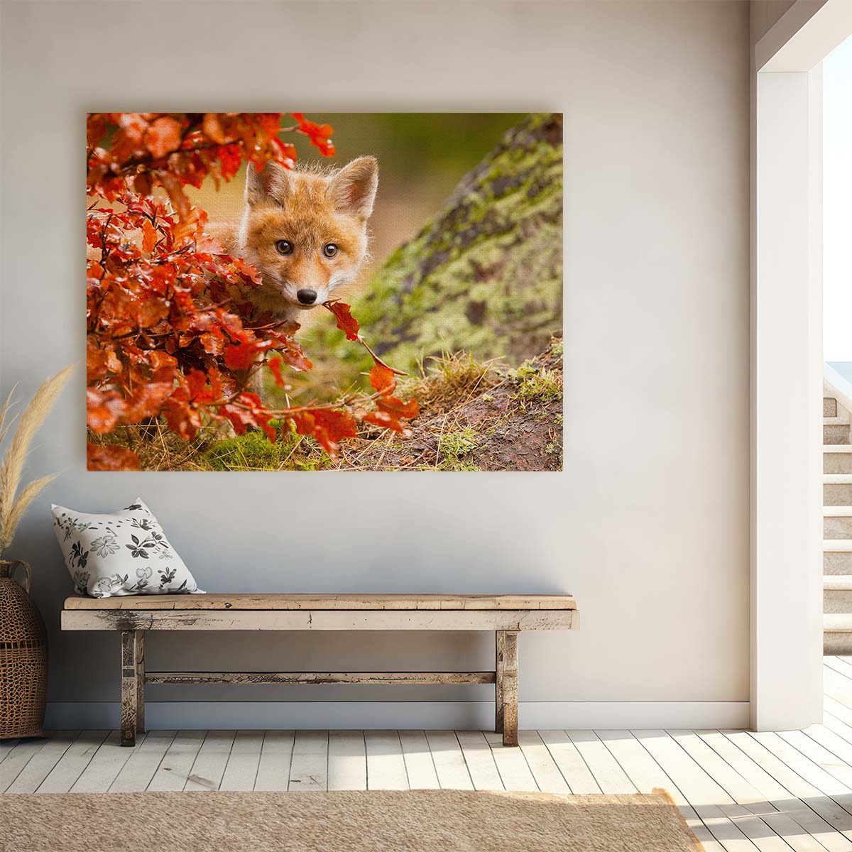 Autumn Fox Cub Peek Cute Wildlife Photography Wall Art