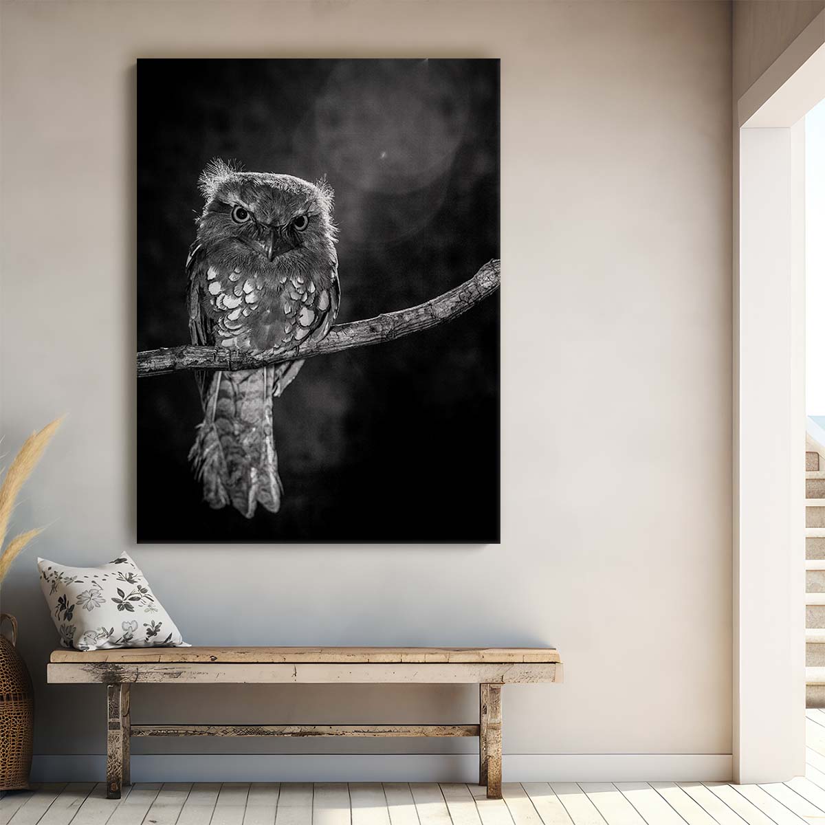 Monochrome Night Owl Photography Cute Baby Wildlife on Branch by Luxuriance Designs, made in USA