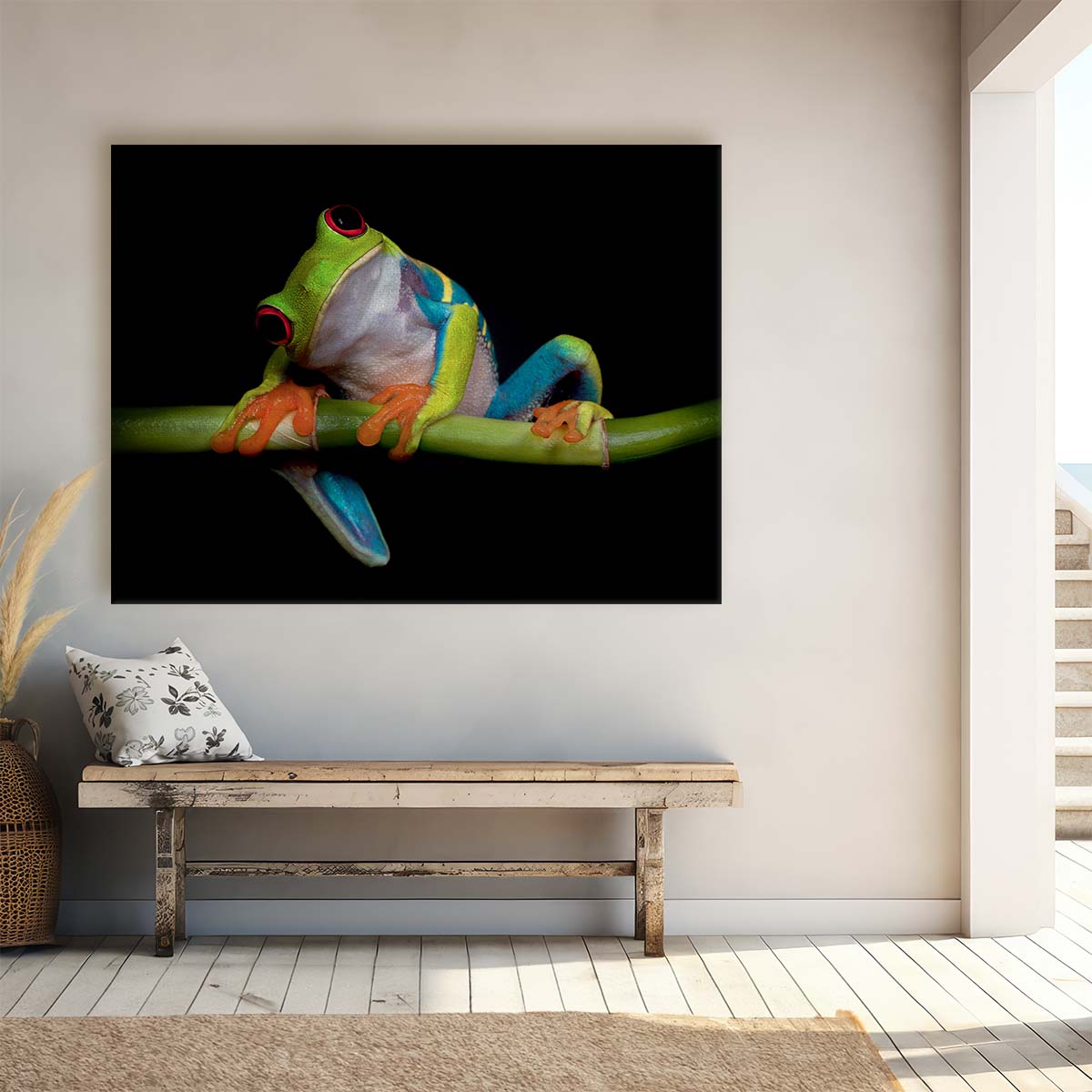 Red-Eyed Tree Frog Nocturnal Amphibian Macro Photography Wall Art