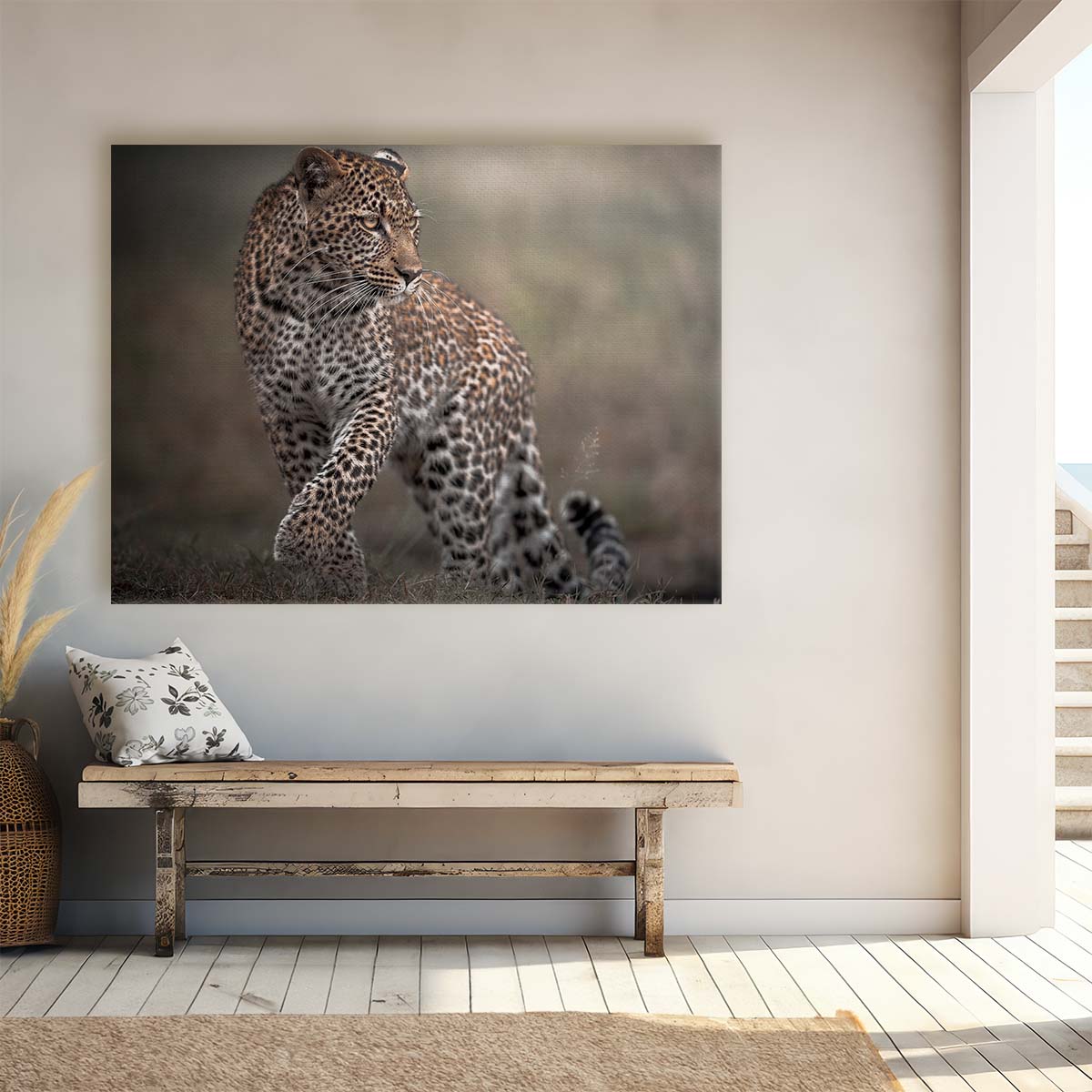 Safari Wildlife Leopard Glance - African Savanna Photography Wall Art