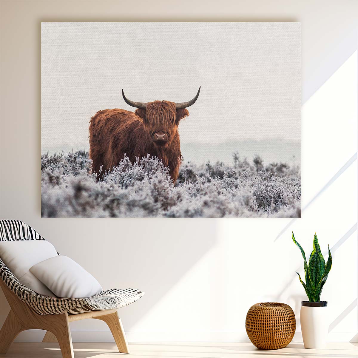 Frosty Highland Cow Photography Rural Winter Wall Art