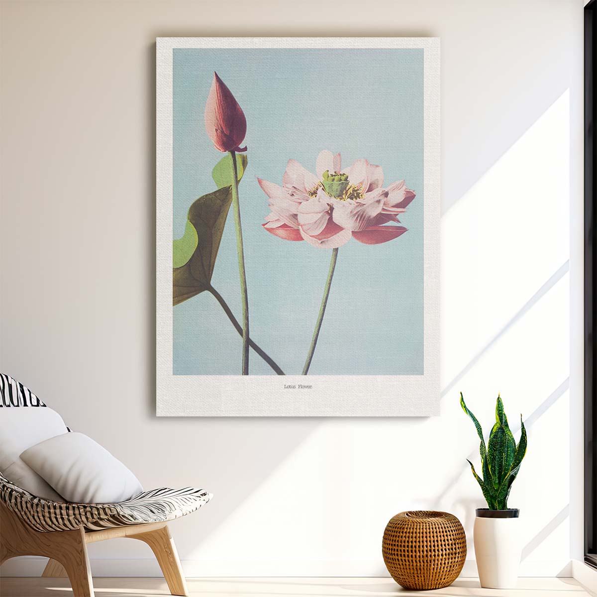 Vintage Japanese Lotus Flower Illustration Wall Art by Ohara Koson by Luxuriance Designs, made in USA