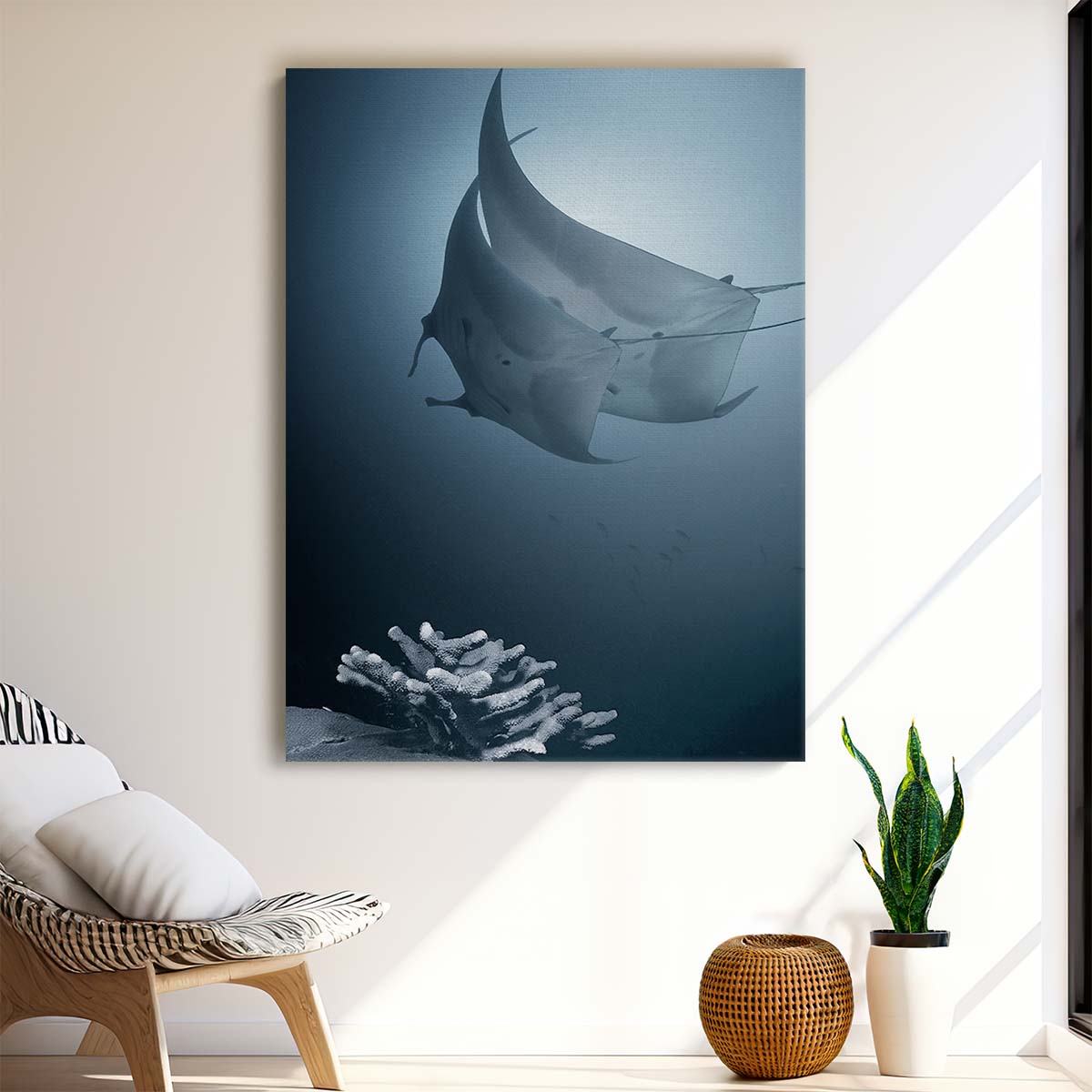 Romantic Manta Ray Dance, Underwater Photography, Similan Thailand by Luxuriance Designs, made in USA