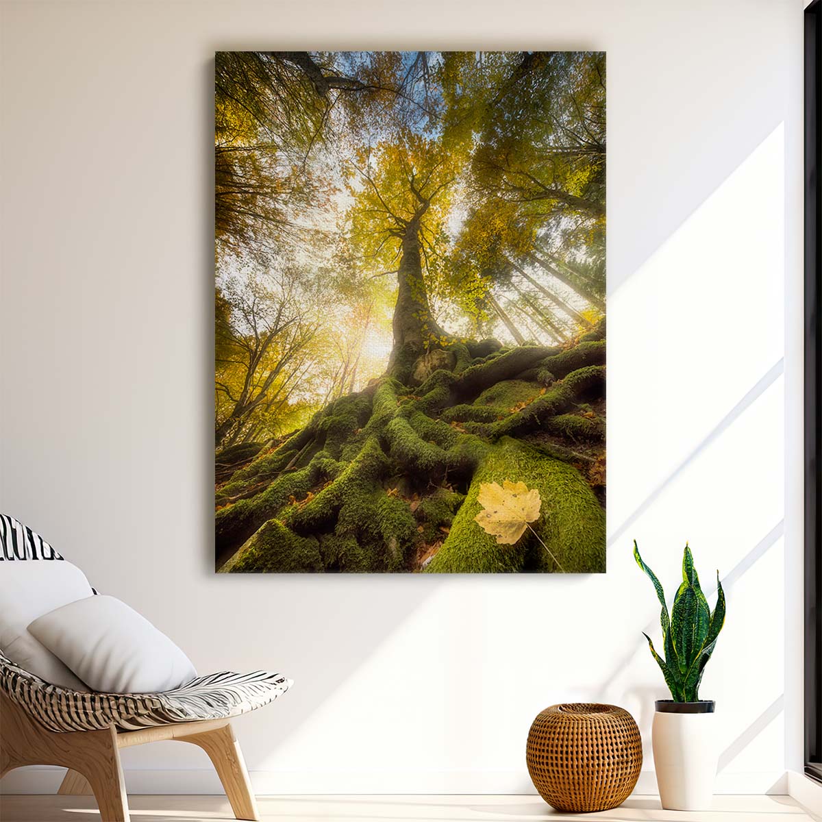 Majestic Autumn Maple Tree Photography Italian Sunrise Landscape by Luxuriance Designs, made in USA