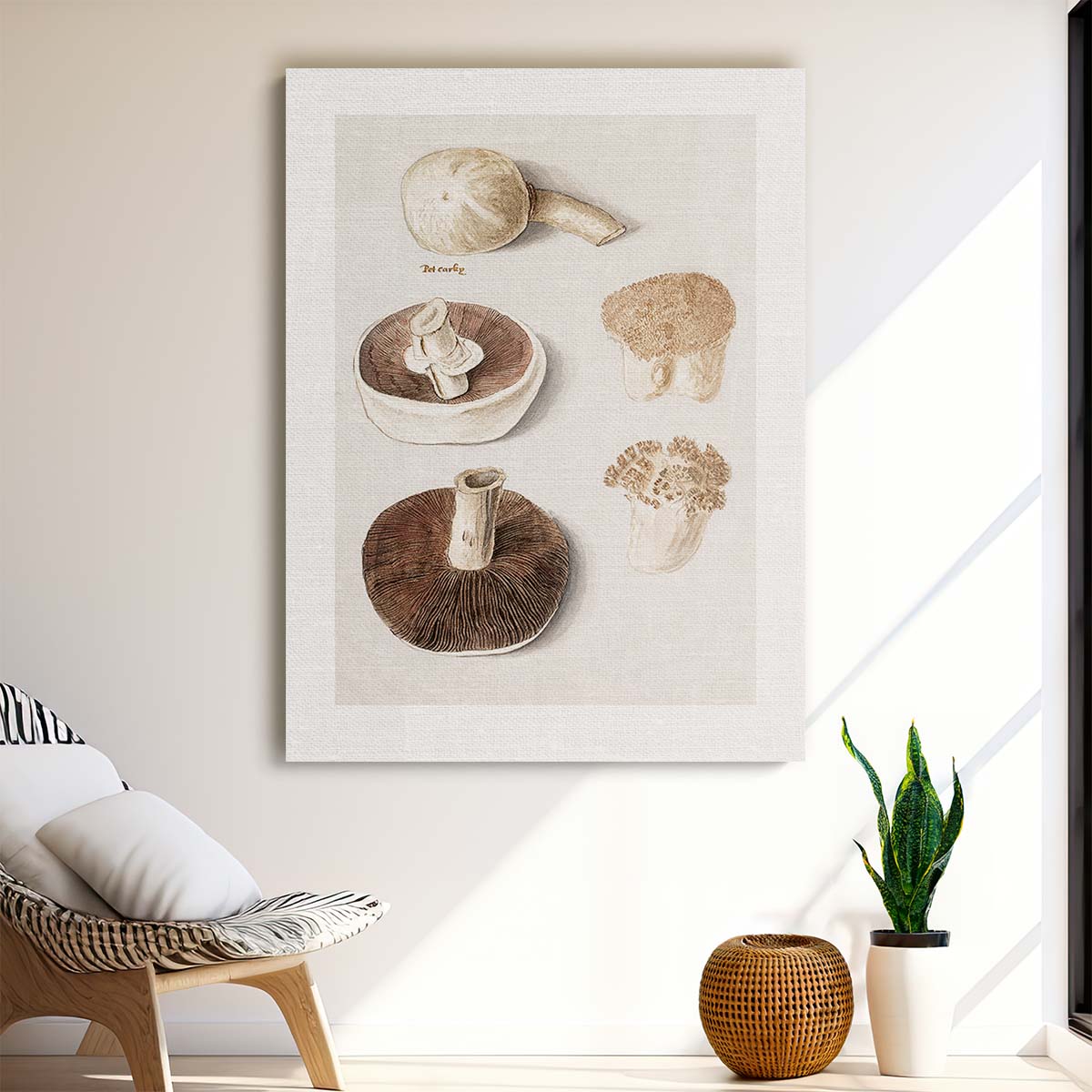 Vintage Botanical Meadow Mushroom Illustration with Gray and Beige Tones by Luxuriance Designs, made in USA