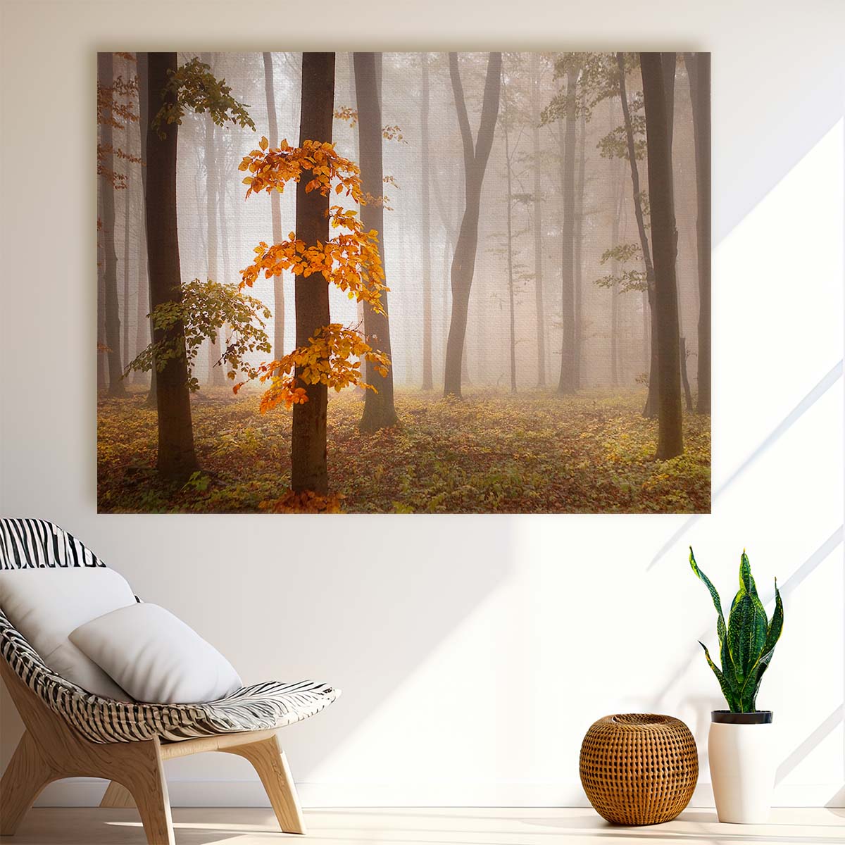 Misty Autumn Swabian Alb Forest Wall Art by Luxuriance Designs. Made in USA.