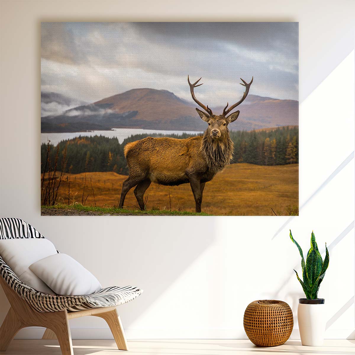 Scottish Highlands Deer & Mountain Lake Landscape Photo Wall Art