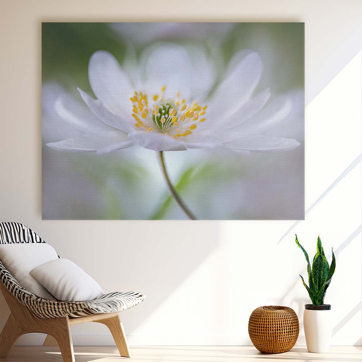 Soft Petals & Tender Flora Bokeh Wall Art by Luxuriance Designs. Made in USA.