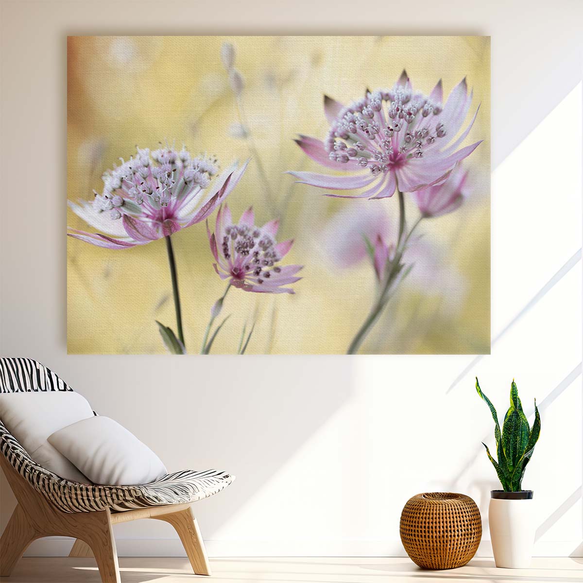 Summer Pink Astrantia Major Floral Macro Wall Art by Luxuriance Designs. Made in USA.