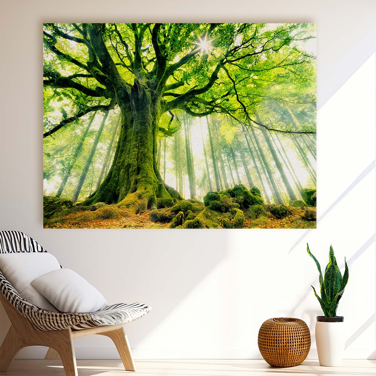 Surreal Ponthus' Beech Tree Magical Forest Landscape Photo Wall Art