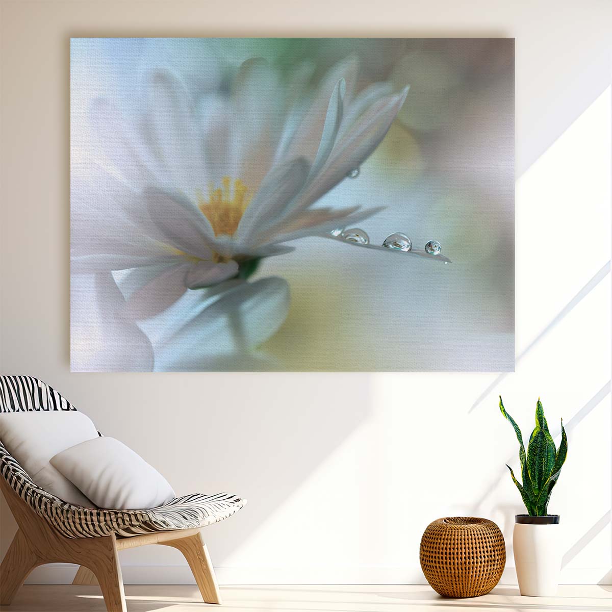 Delicate Daisy & Water Droplets Macro Photography Wall Art