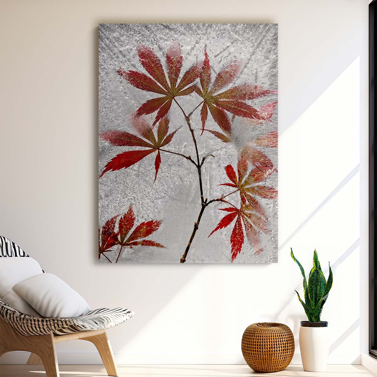 Secundino Losada Red Maple Leaves Icy Winter Still Life Photography by Luxuriance Designs, made in USA
