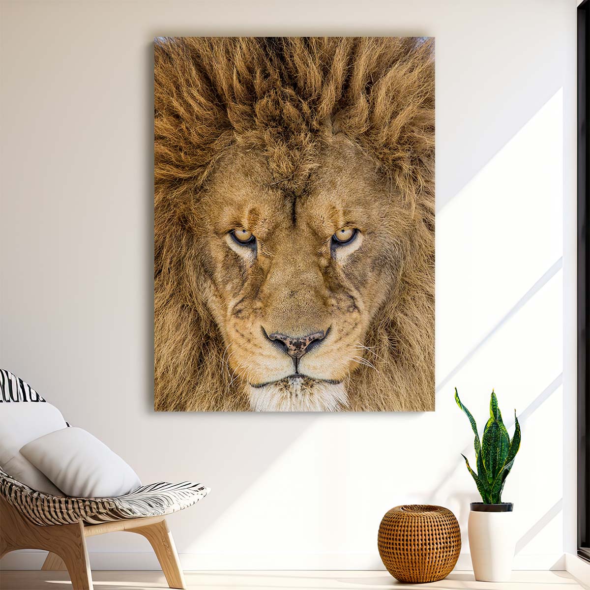 Intense Close-Up Lion Portrait, Wildlife Photography by Mike Centioli by Luxuriance Designs, made in USA