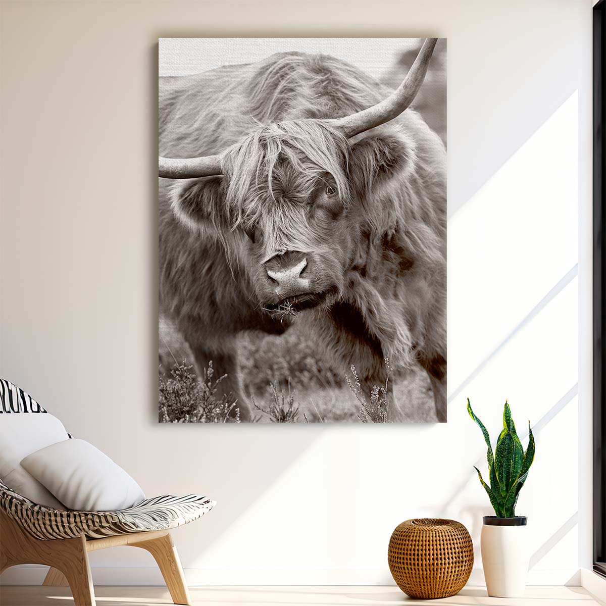 Highland Bull Close-Up Photography Wall Art by Jacky Parker by Luxuriance Designs, made in USA