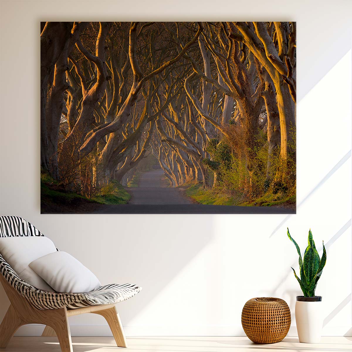 Sunrise at Ireland's Dark Hedges Forest Path Wall Art by Luxuriance Designs. Made in USA.