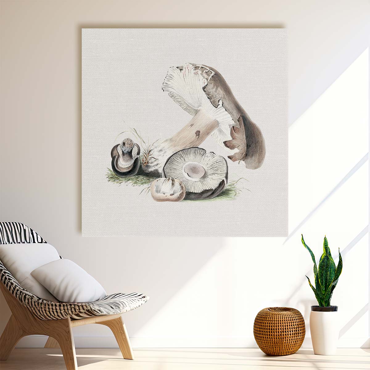 VintageInspired Agaricus Augustus Mushroom Illustration Wall Art by Luxuriance Designs. Made in USA.