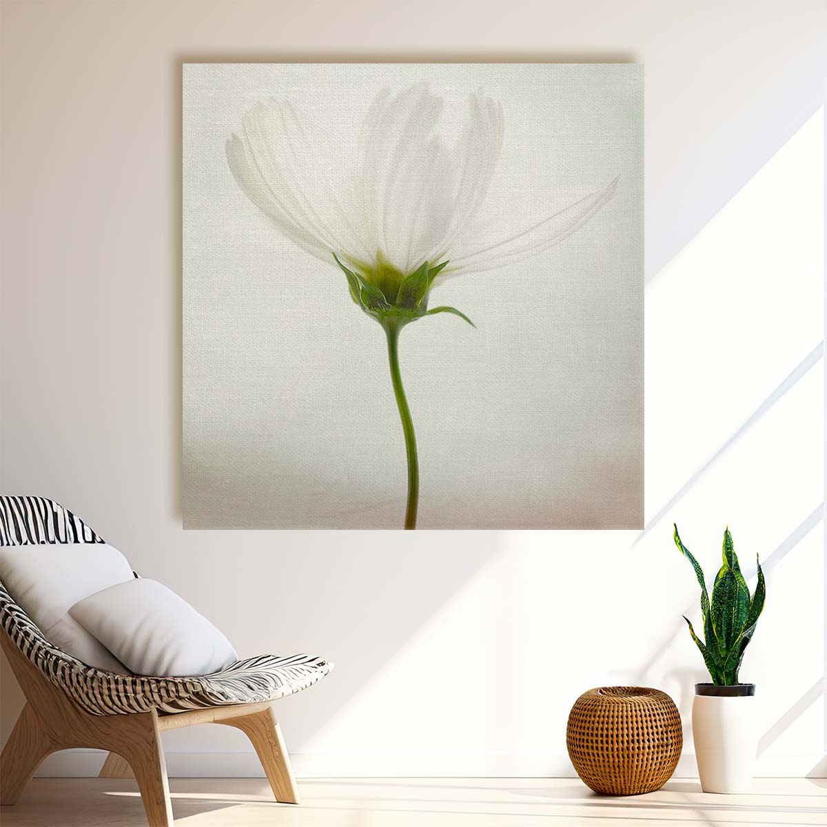 Bright and Delicate White Cosmos Flower Floral Photography Wall Art by Luxuriance Designs. Made in USA.