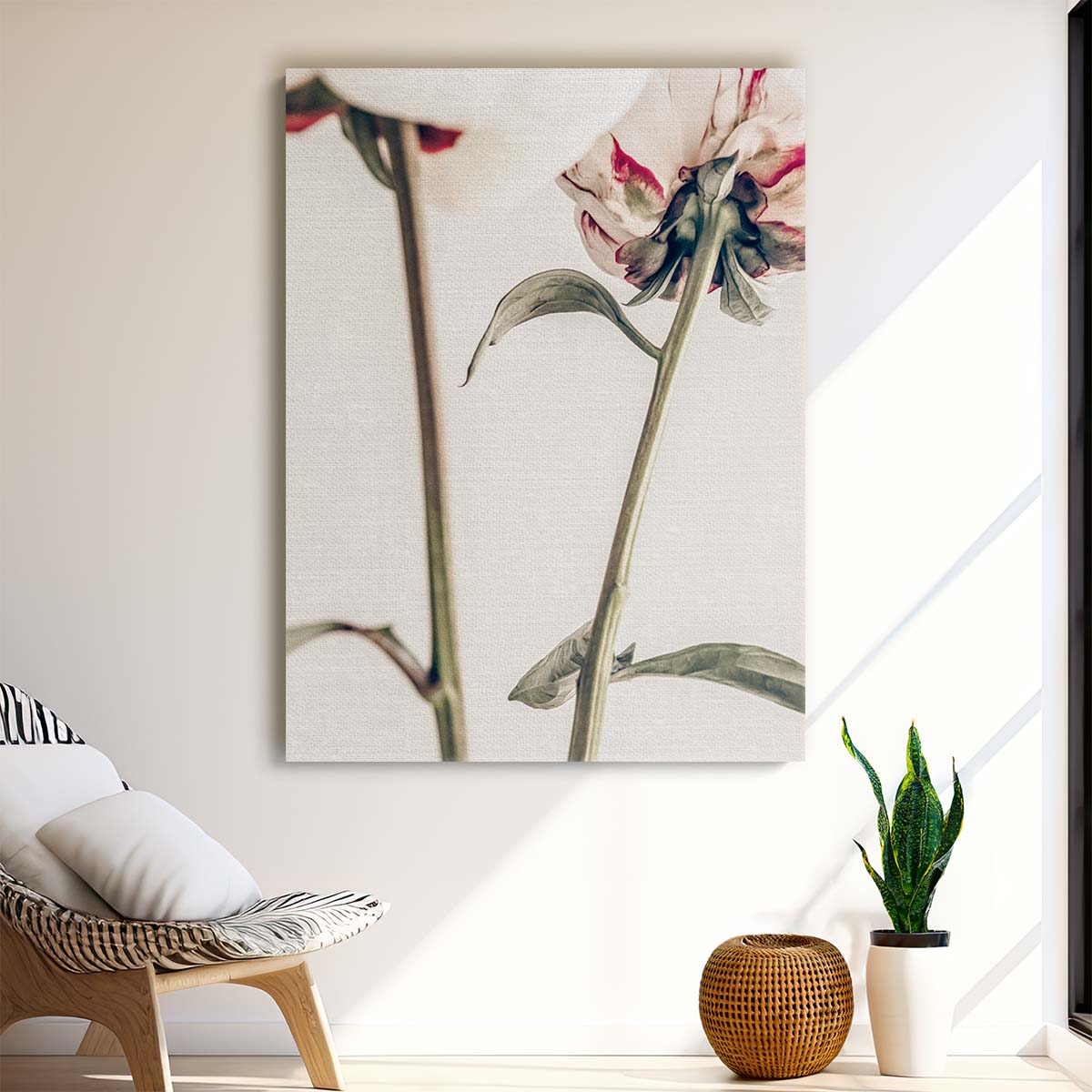 Botanical Pink Peony Photography - Floral Still Life Wall Art by Luxuriance Designs, made in USA