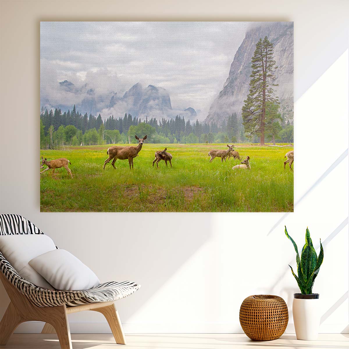 Roe Deer Herd in Yosemite National Park Landscape Wall Art