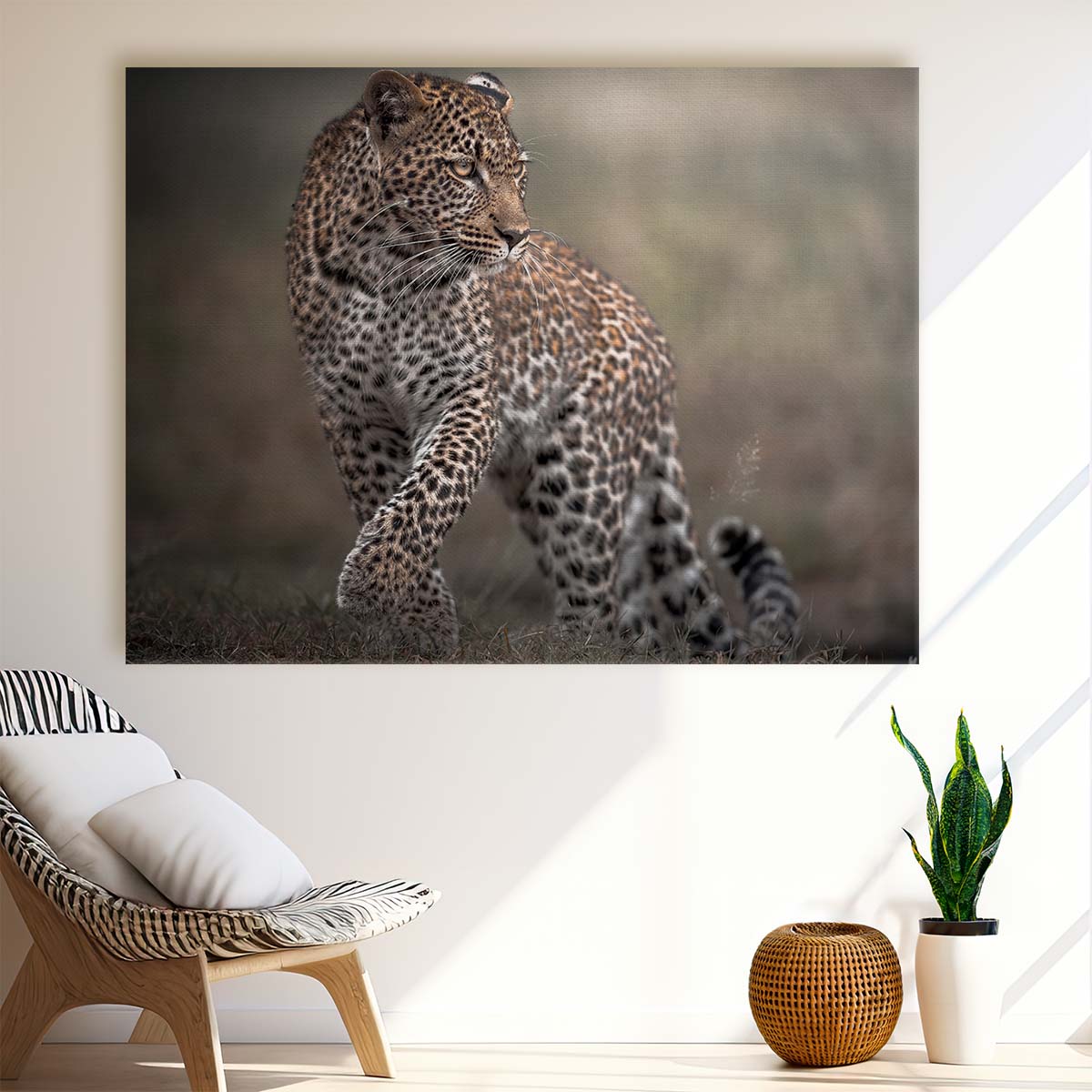 Safari Wildlife Leopard Glance - African Savanna Photography Wall Art