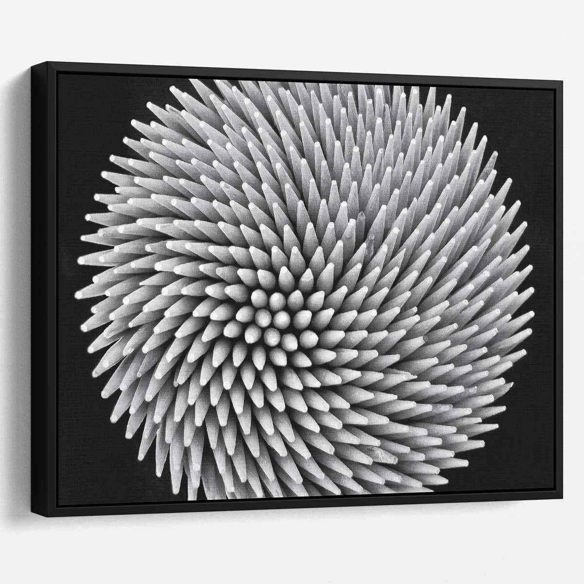 Geometric Sphere & Fibonacci Pattern Monochrome Wall Art by Luxuriance Designs. Made in USA.