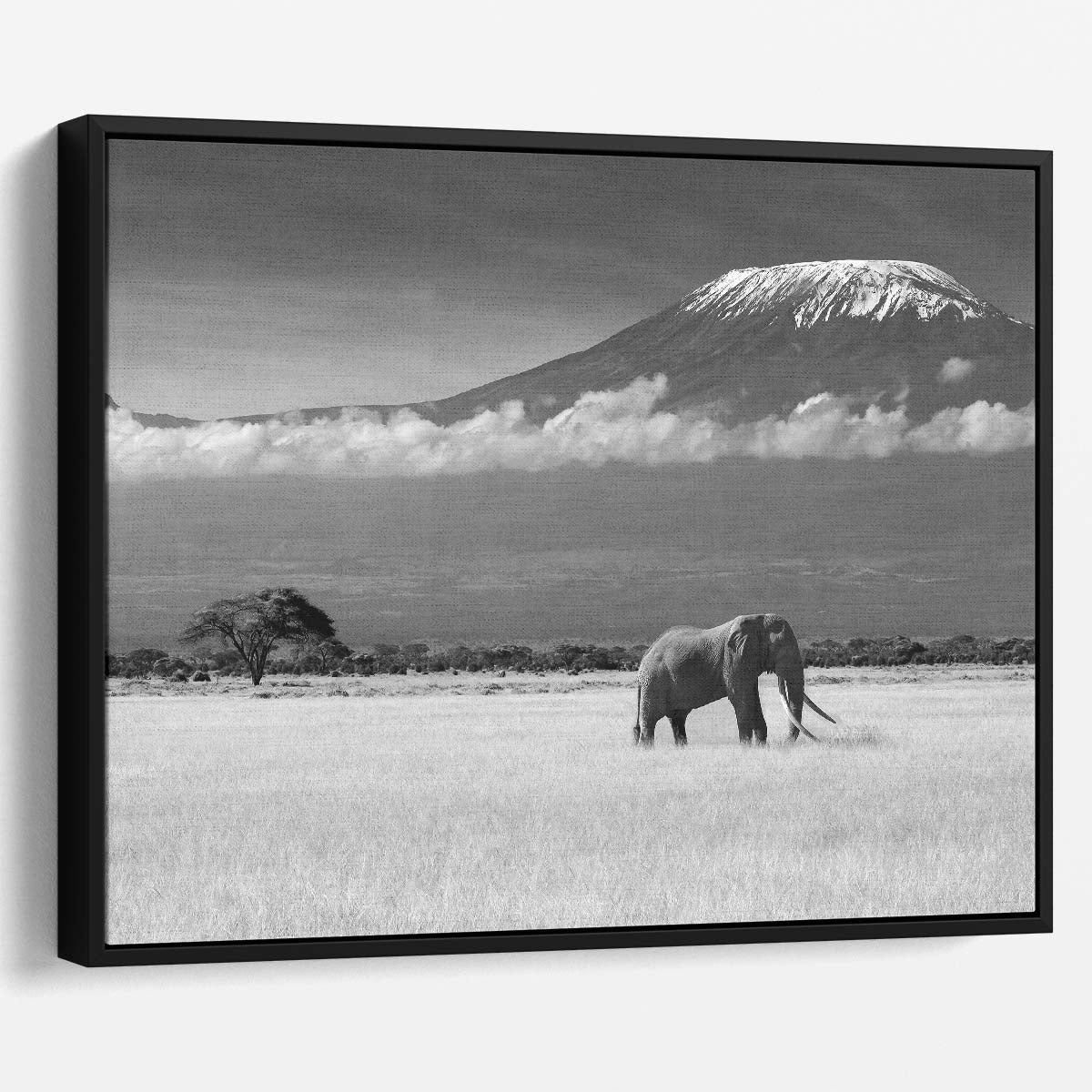 Majestic African Elephant & Kilimanjaro Wall Art by Luxuriance Designs. Made in USA.