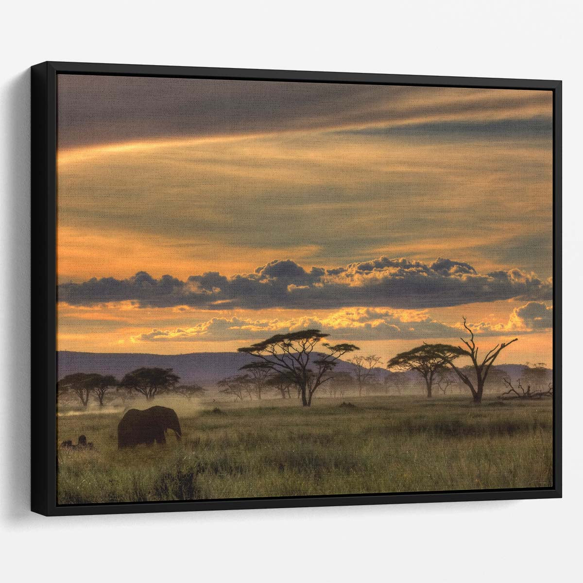 Serengeti Sunset Elephant Safari Wildlife Photography Wall Art