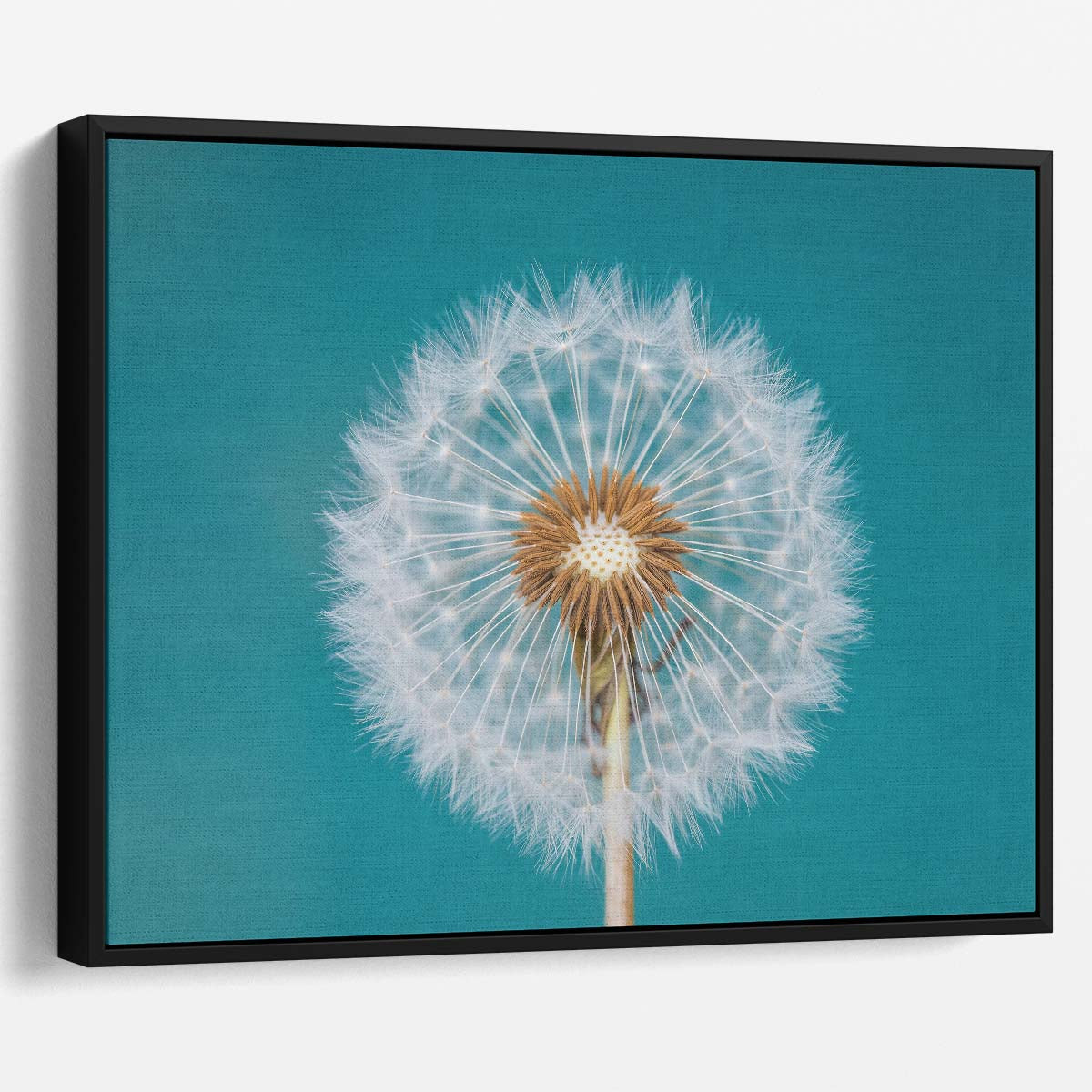 Turquoise Teal Dandelion Macro Floral Wall Art by Luxuriance Designs. Made in USA.
