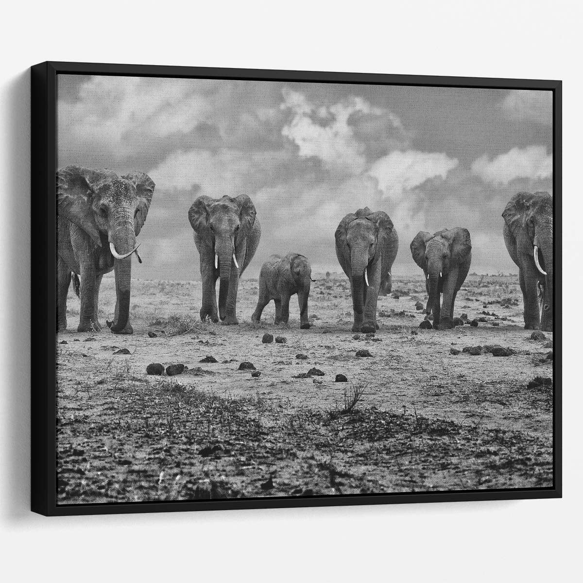 Majestic Elephant Family Safari Monochrome Wall Art by Luxuriance Designs. Made in USA.