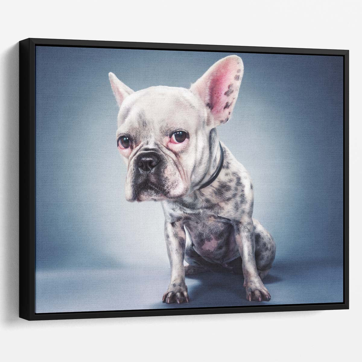 Creative Pink French Bulldog with Big Ears Wall Art by Luxuriance Designs. Made in USA.